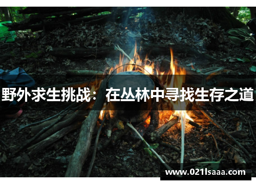 野外求生挑战：在丛林中寻找生存之道